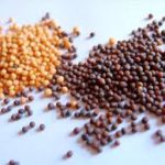 mustard seeds for curry